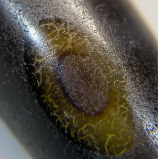 【木宝藏珠】三眼天珠  老藏珠  牧区回流 玛瑙材质 包浆油润  尺寸：37.2*11.5mm