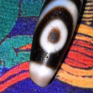 【木寶藏傳】兩眼老藏珠   珠體有明顯馬蹄紋   取藥坑    尺寸：39.5*11.5mm